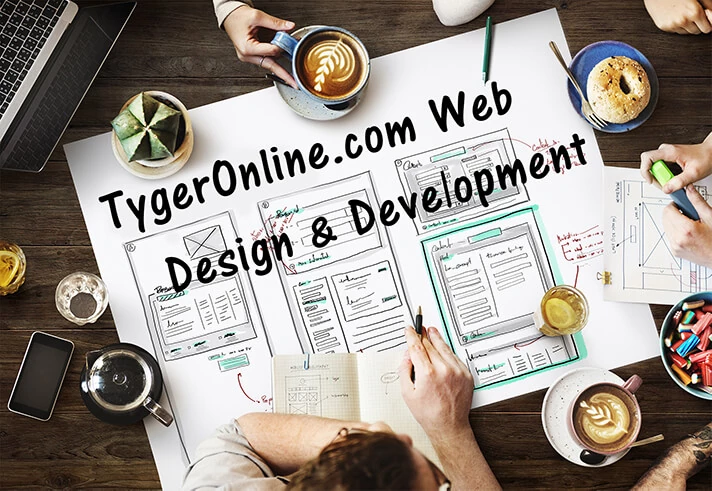 TygerOnline Web Design and Development