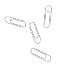 Paper Clips used by Tygeronline.com