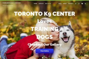 Toronto K9 Center - Group Training Gallery